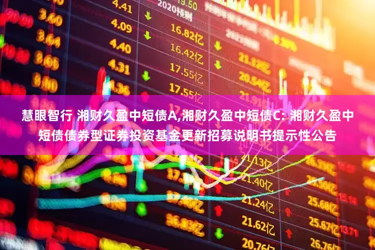 慧眼智行 湘财久盈中短债A,湘财久盈中短债C: 湘财久盈中短债债券型证券投资基金更新招募说明书提示性公告