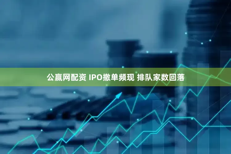 公赢网配资 IPO撤单频现 排队家数回落