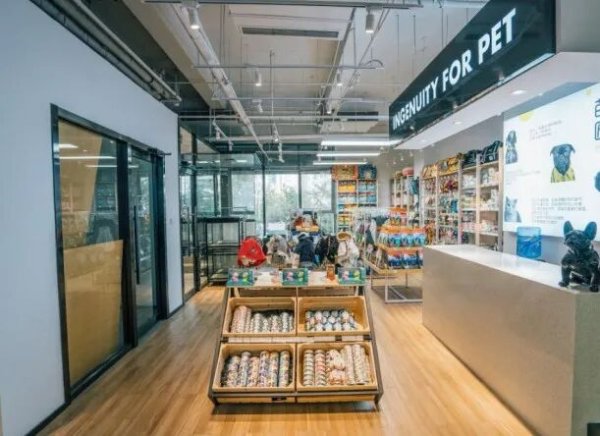 盛宝优配 宠物友好型城区+1！南沙这座“毛孩子乐园”年底开放