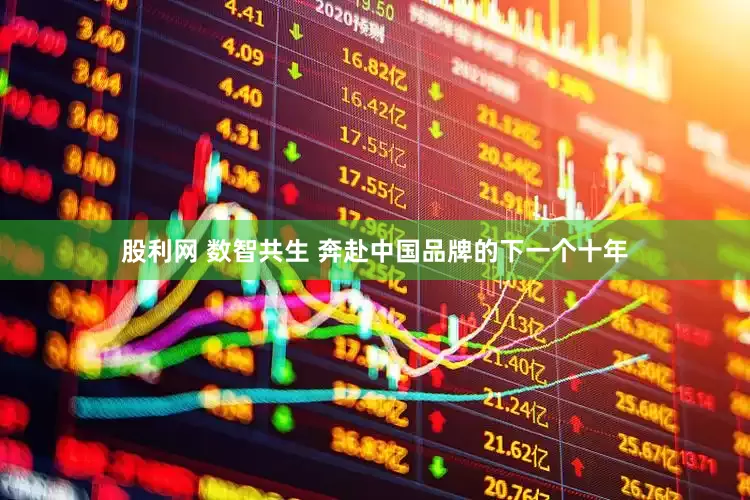 股利网 数智共生 奔赴中国品牌的下一个十年